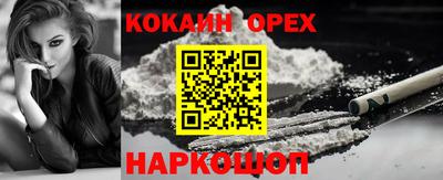 СК Кандалакша