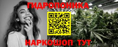 Альфа ПВП Кингисепп