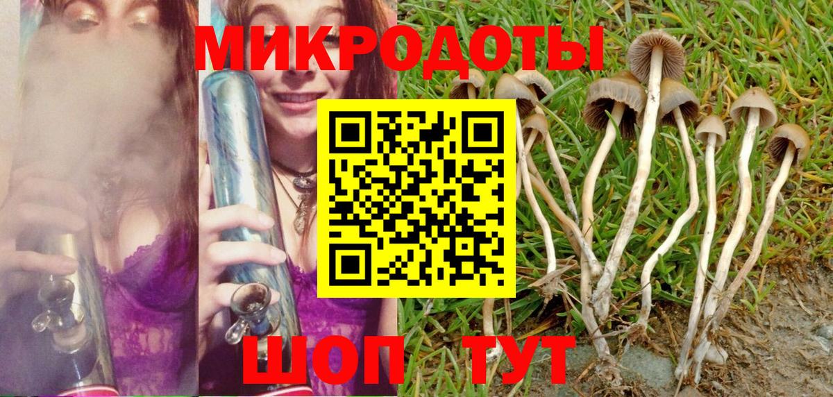 Псилоцибиновые грибы прущие грибы Губкинский